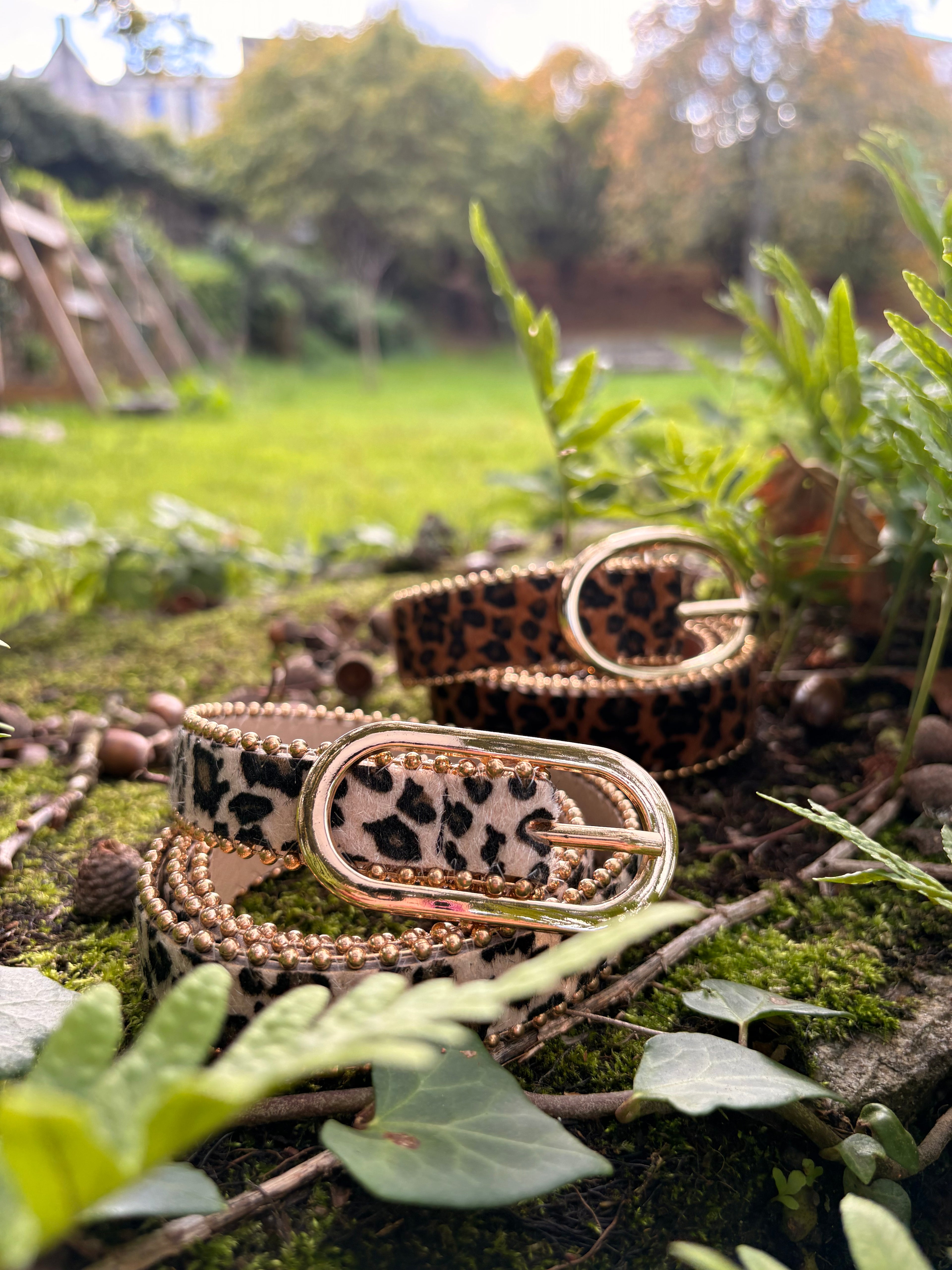 Ceinture I Léopard fine