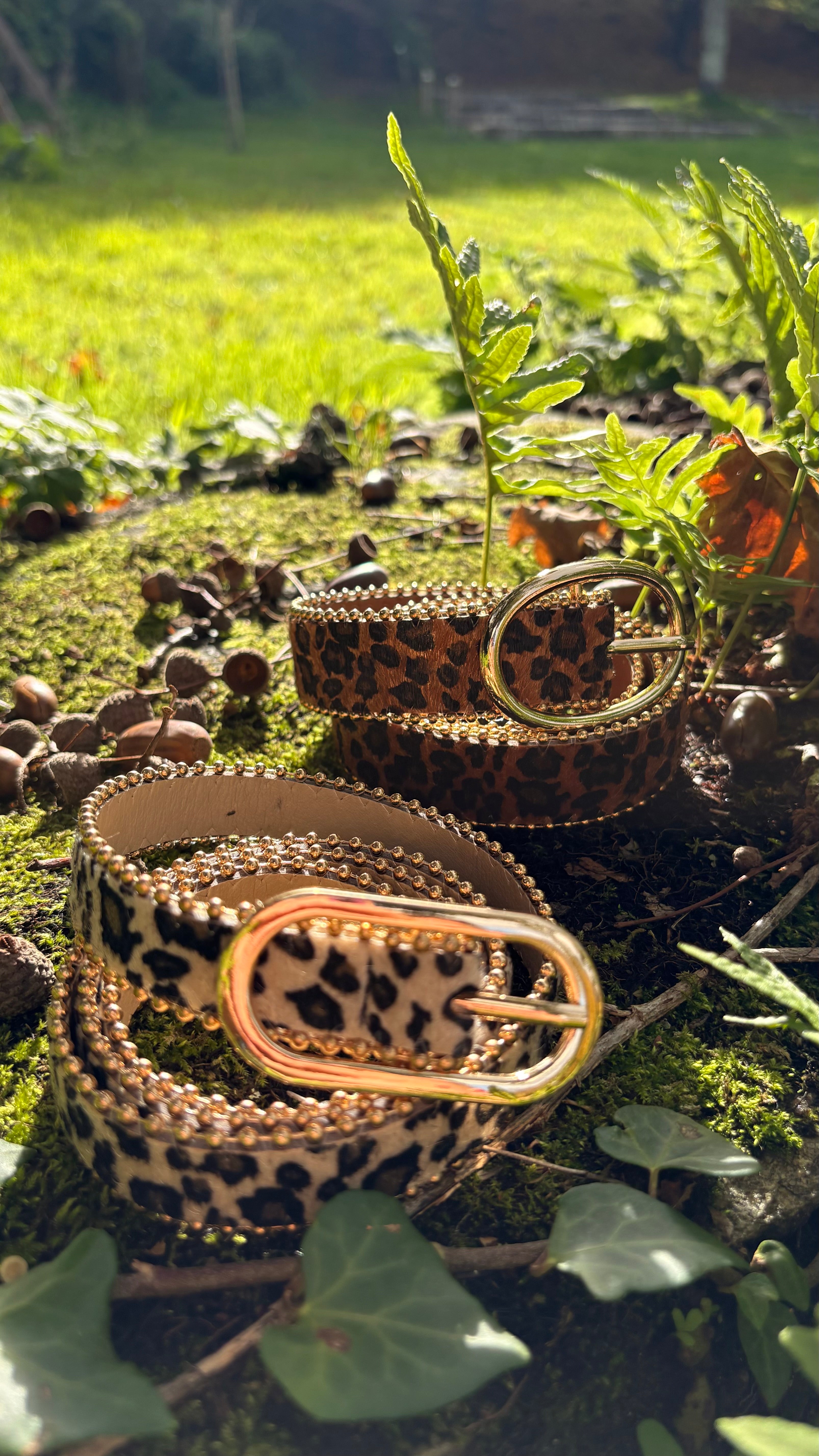 Ceinture I Léopard large